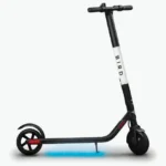 Scooter Bird